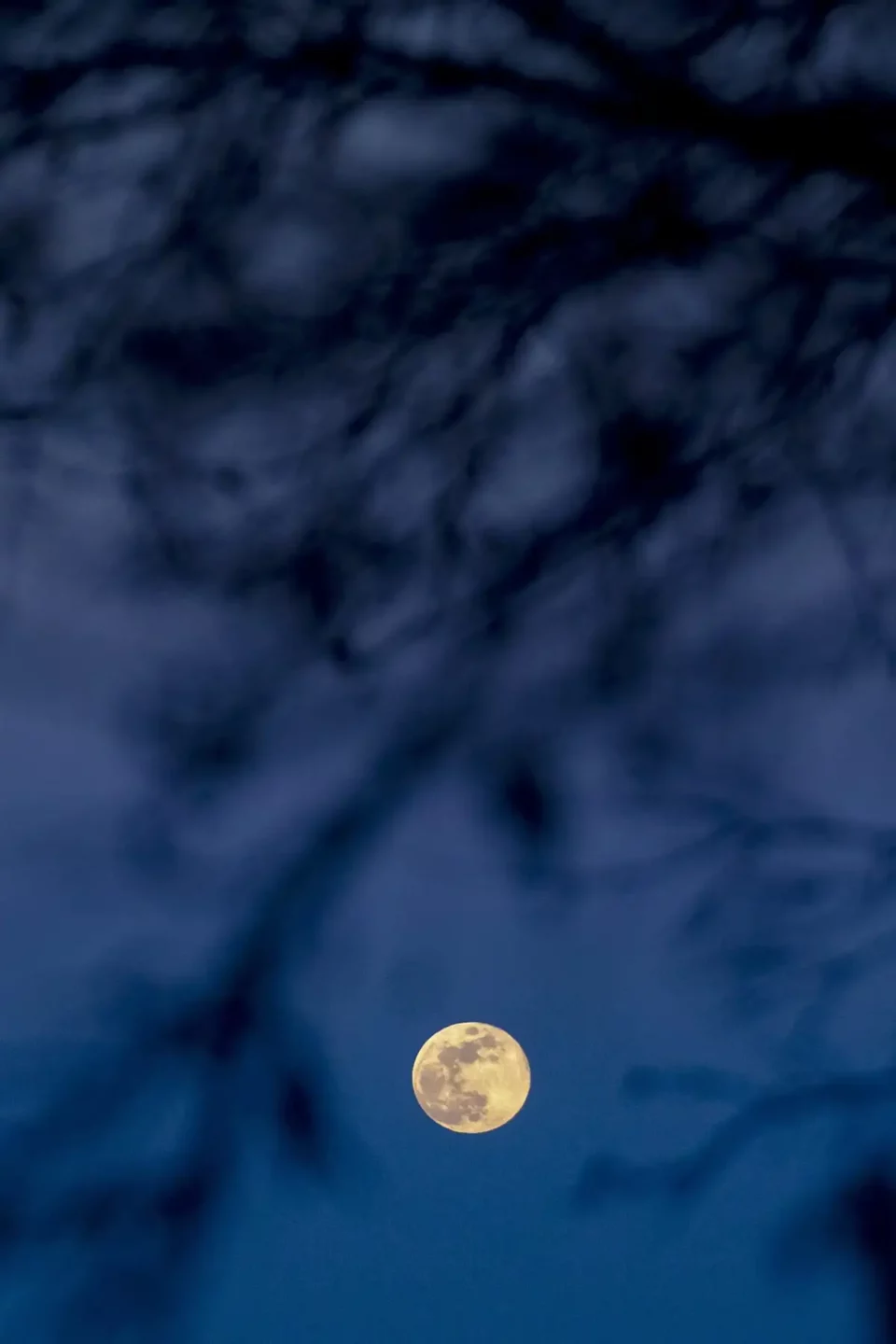 Así se observó la Luna de Lobo 2025, la primera luna llena del año