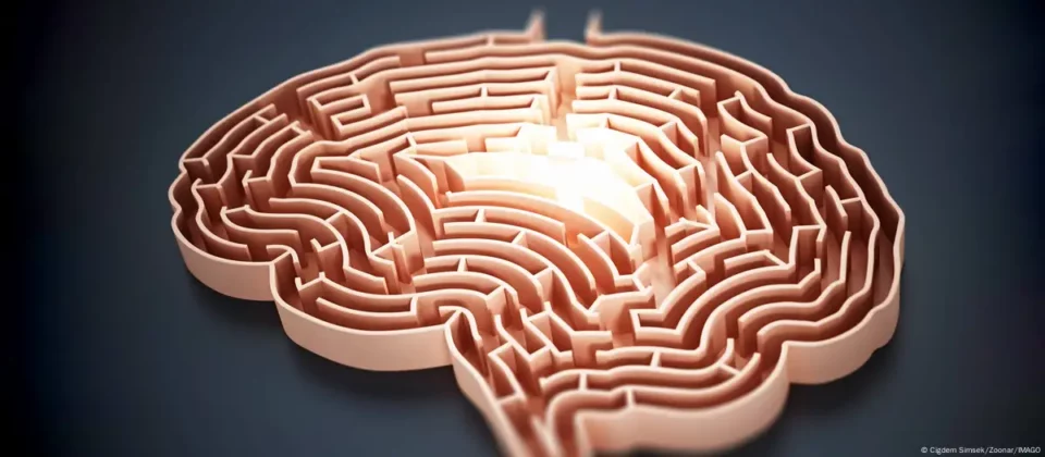 Descubren el mecanismo cerebral que desata la creatividad