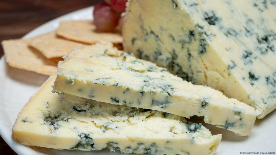 Conoce el peligro que representa cada color de moho