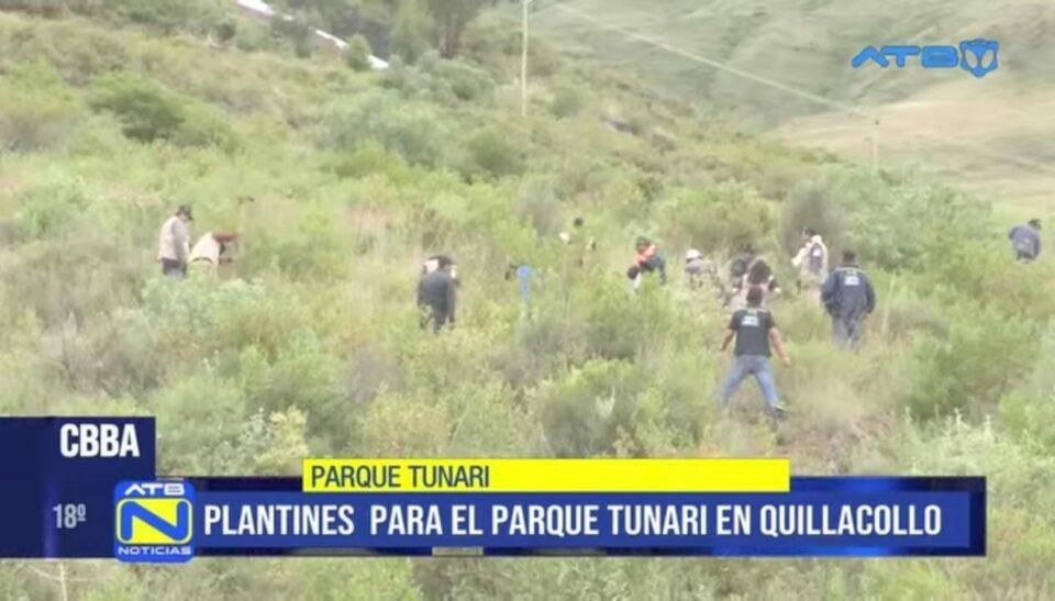 Reviviendo el ambiente verde: 7.000 plantines fueron sembrados en el Parque Tunari