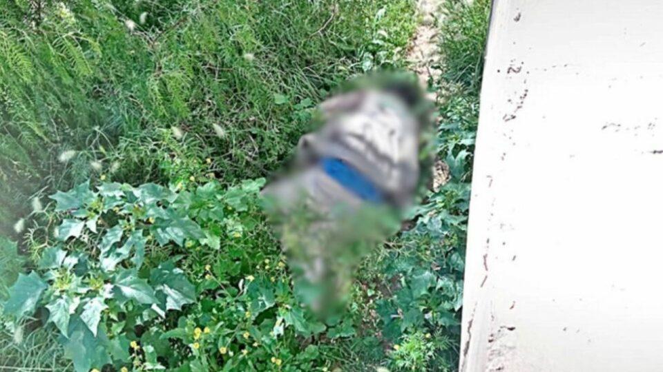 Sucre: Hallan a un hombre muerto por presunta caída