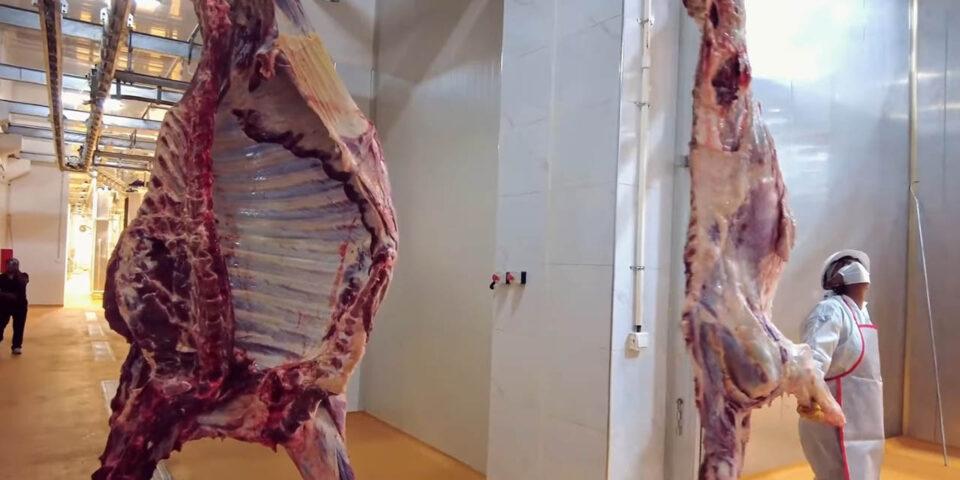La industria cárnica de Beni producirá más de 50 toneladas día para consumo interno y la exportación