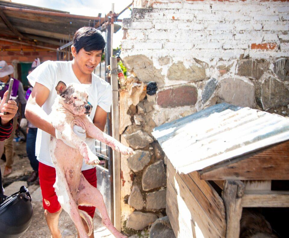Zoonosis de Cochabamba rescata a 15 perros de un refugio clandestino