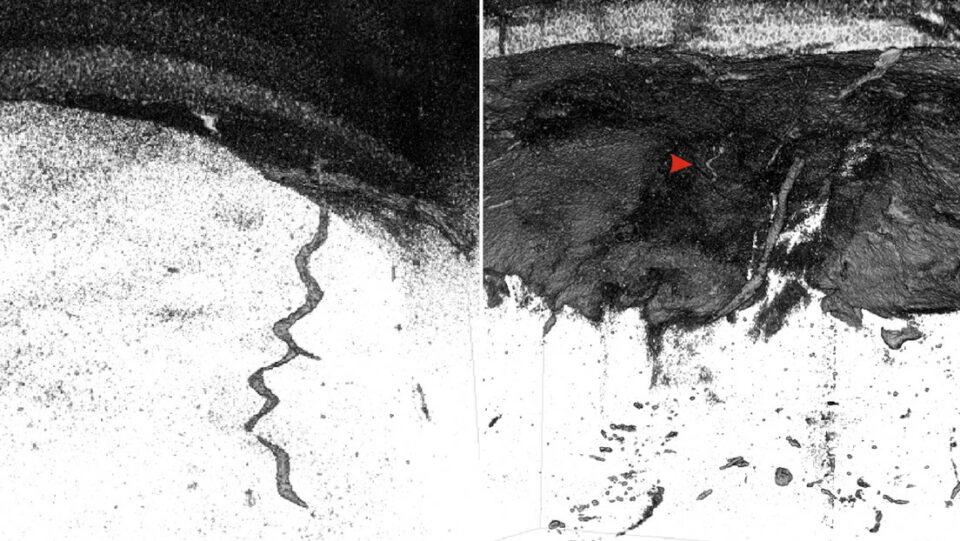 Rayos X descubren secretos del fondo del Pacífico