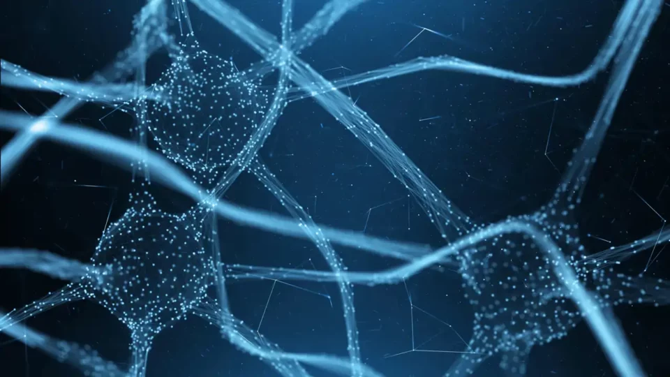 El estómago del postre existe, y se encuentra en el cerebro