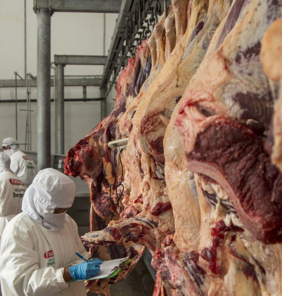 Gobierno mantiene suspensión indefinida de certificados para exportación de carne de res hasta que bajen precios