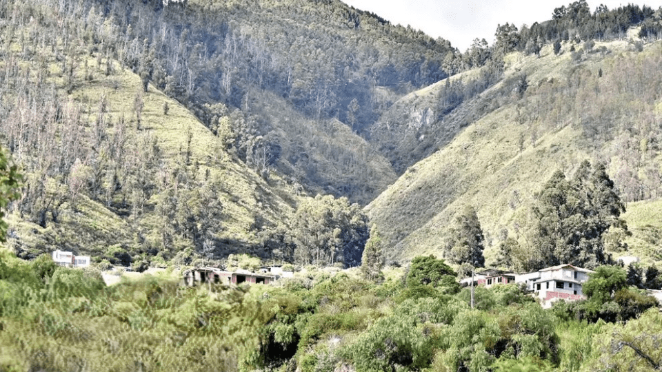 Las lluvias han tornado de verde el paisaje del Parque Tunari