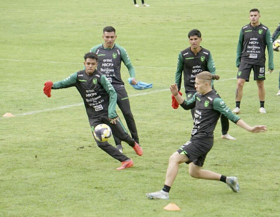 La Verde da confianza a los “españoles” para los partidos por eliminatorias