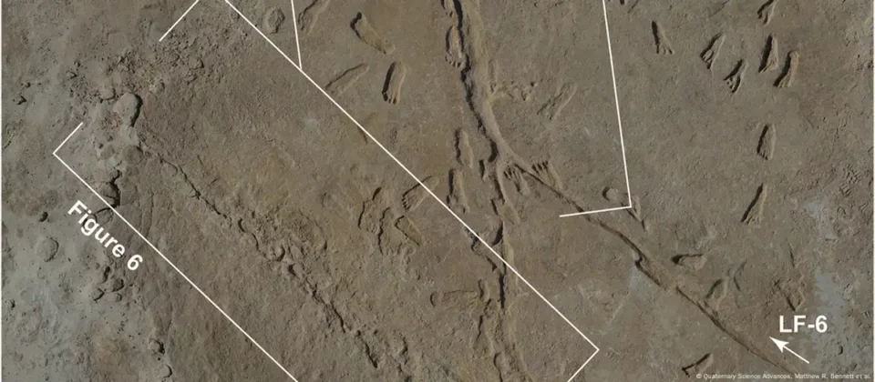 Descubren pruebas sobre la existencia de vehículos improvisados de hace miles de años