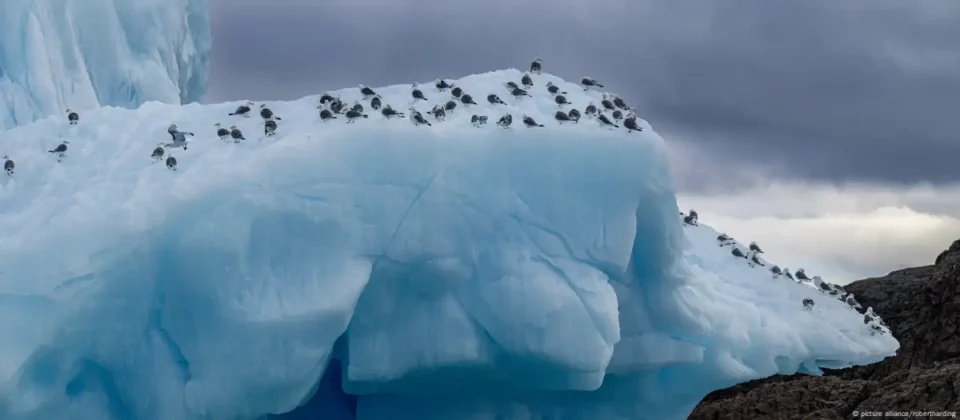 Cobertura de hielo marino llegó al mínimo en febrero