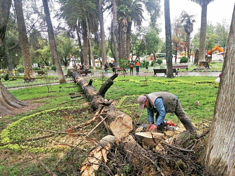 Sucre reporta derrumbe de tres casas afectadas por las lluvias