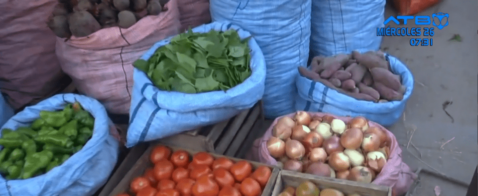 "Carne de soya": amas de casa optan por reemplazar la carne de res