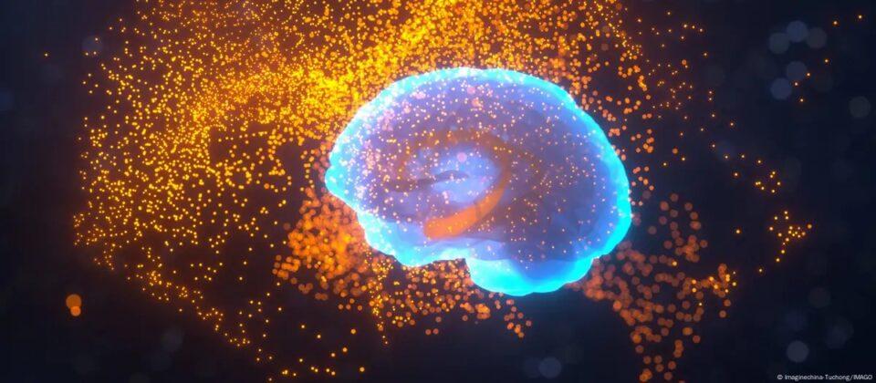 La ciencia desentraña el mapa de la neurodegeneración