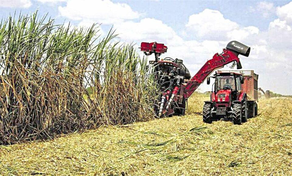 Productores y transportistas anuncian medidas de presión por falta de diésel