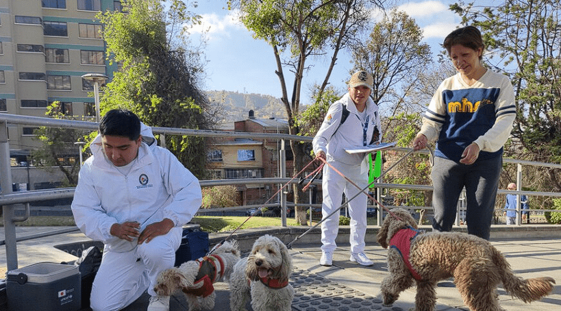 Más de 700 brigadas se movilizan en la campaña masiva de vacunación antirrábica de perros y gatos en Sucre