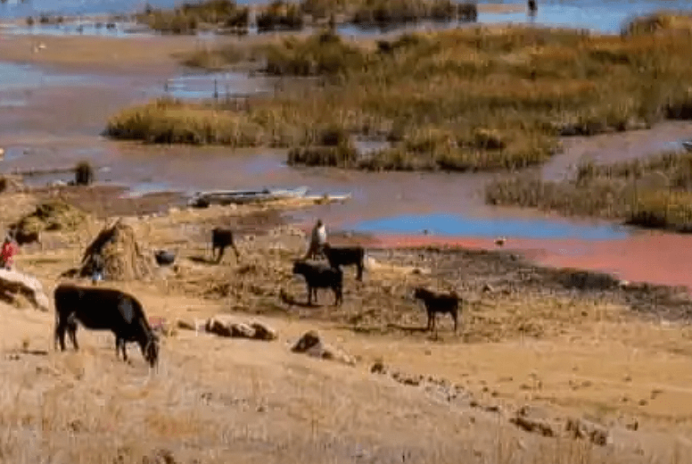 Crisis del Titicaca: avanza desplazamiento ambiental en la cuenca Katari