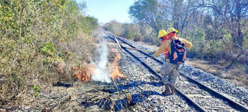 Suman 64 municipios en alerta por incendios