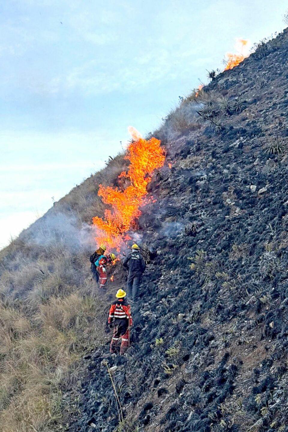 Emergencia nacional por 3 incendios forestales: buscan agilizar llegada de ayuda internacional