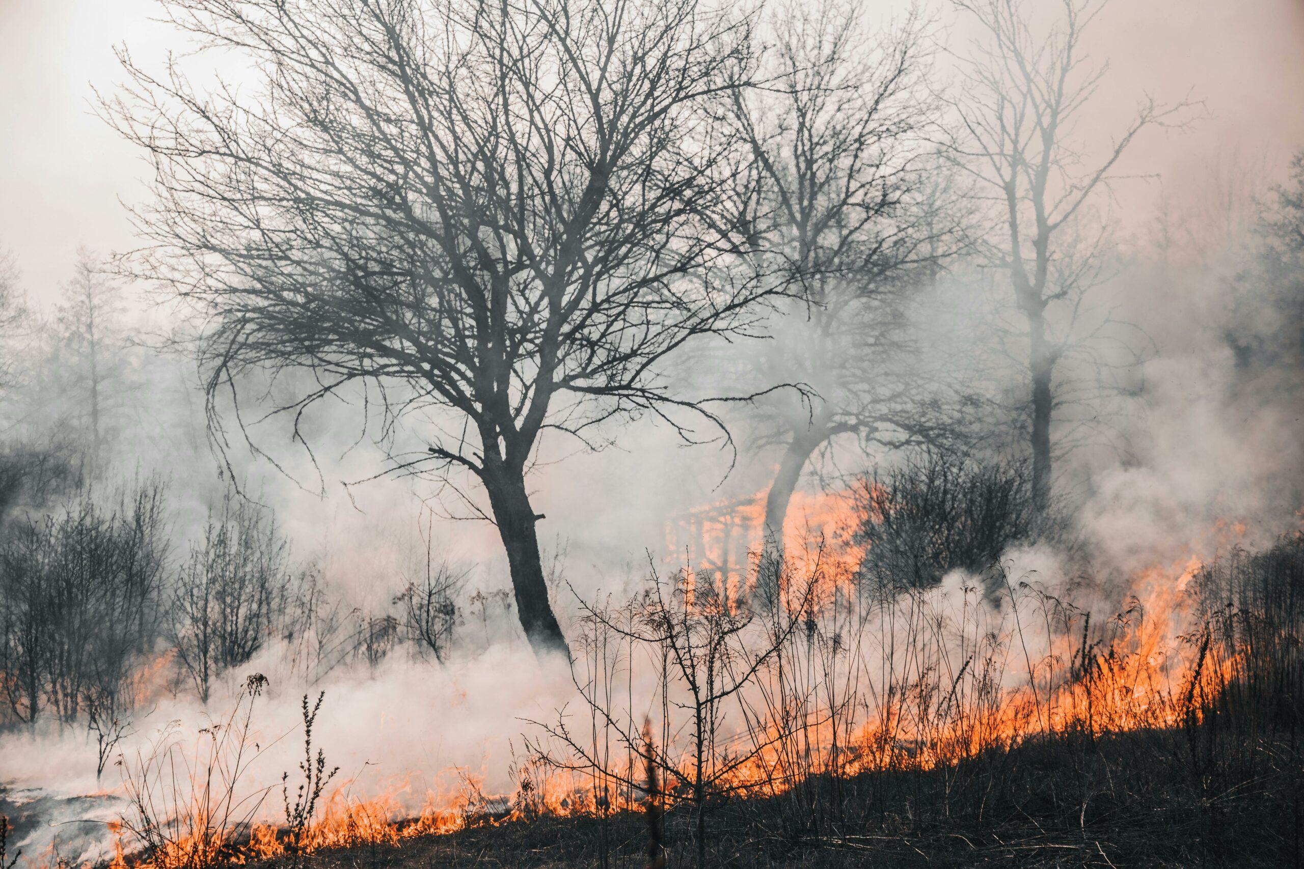 El país reporta siete ‘fuegos’ activos y 855 focos de calor; rigen dos alertas