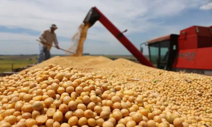 En una década, producción agrícola creció en 26%, según el IBCE