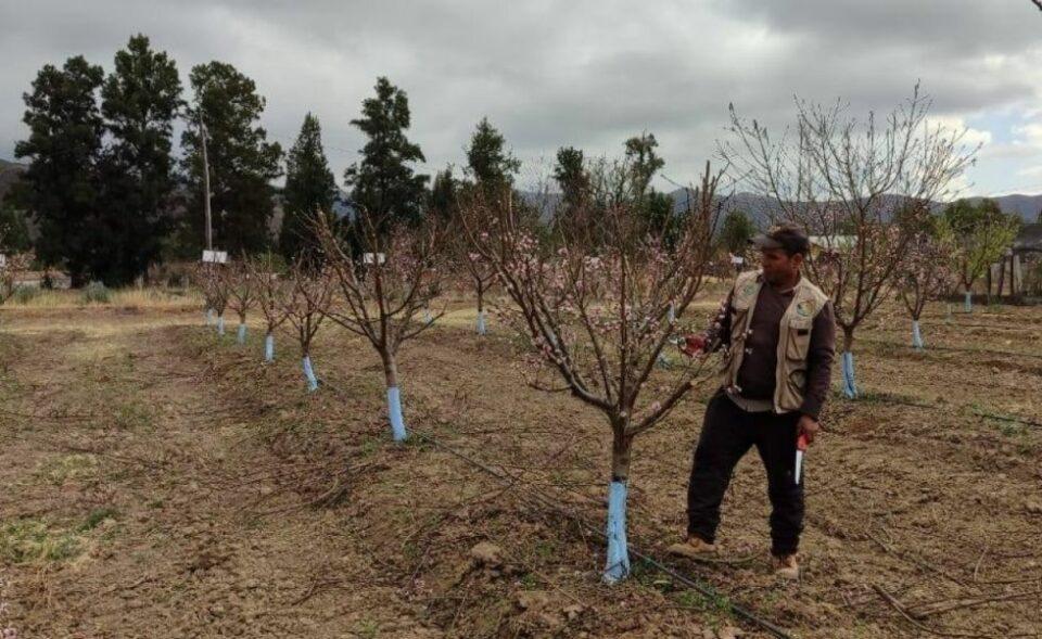 Sedag de Tarija respalda la creación de parcelas agrícolas