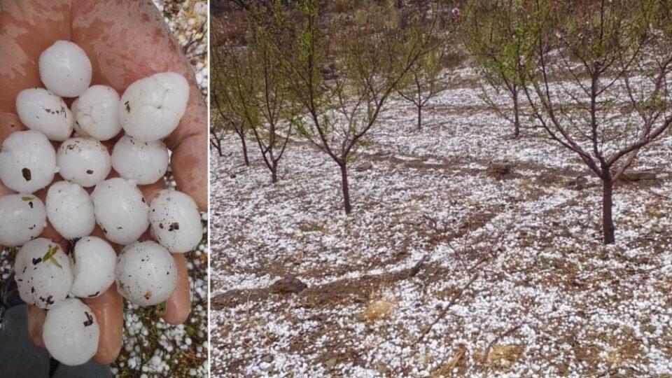 Chuquisaca: fuertes granizadas provocan pérdida de cultivos en comunidades de Villa Abecia