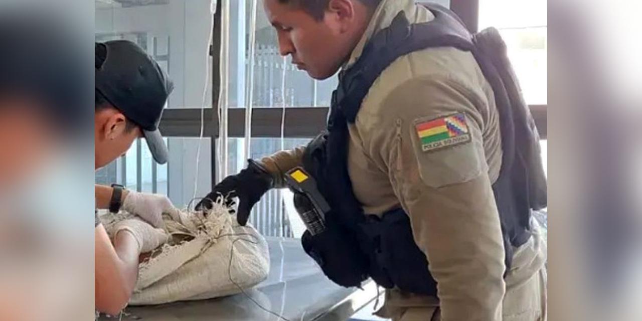Crueldad animal: Descubren zorro colgado en un balcón y autoridades indagan el hecho