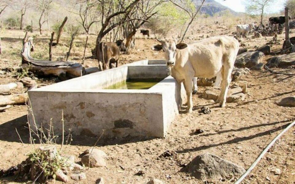 Alerta en Tarija: sequía e incendios provocan reducción en caudales de ríos