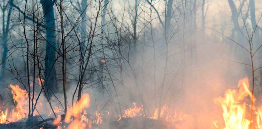 Mujer muere calcinada en un incendio forestal cerca del municipio de Toro Toro
