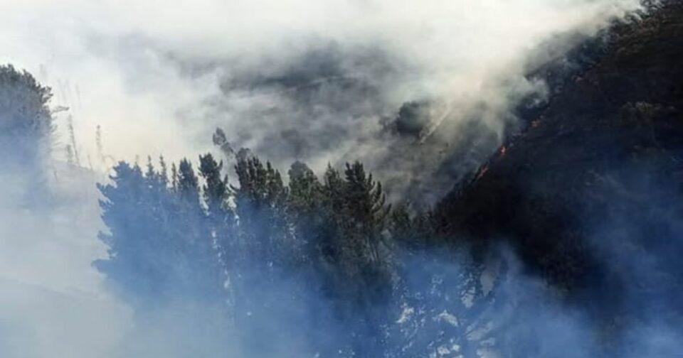 Mitigan incendios forestales en Colomi