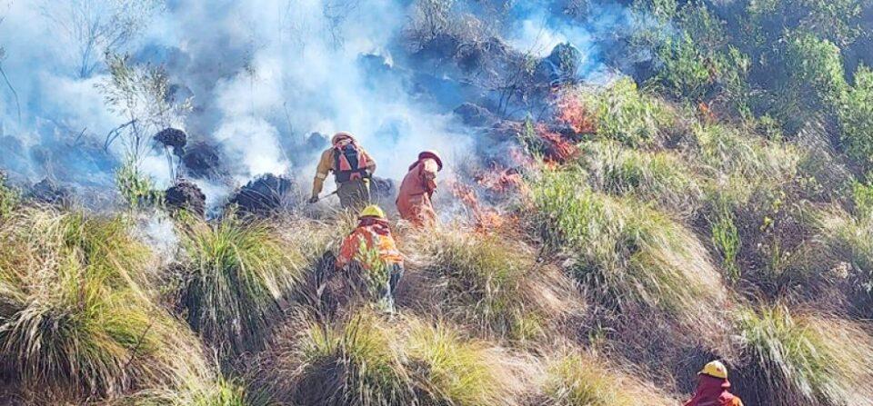 Incendios forestales: Rige alerta roja en 4 municipios y naranja en 80