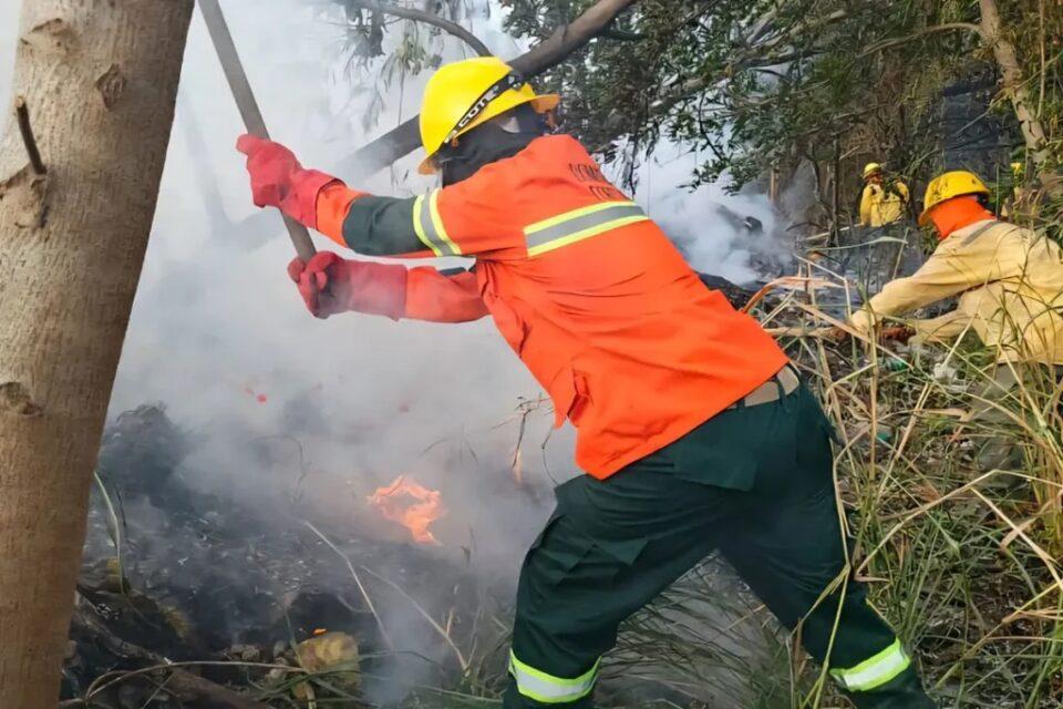 Al menos 17 procesos penales se han abierto por los incendios