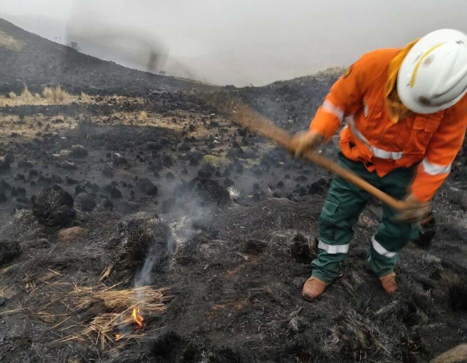 Bolivia registra el nivel más bajo de incendios forestales en 20 años