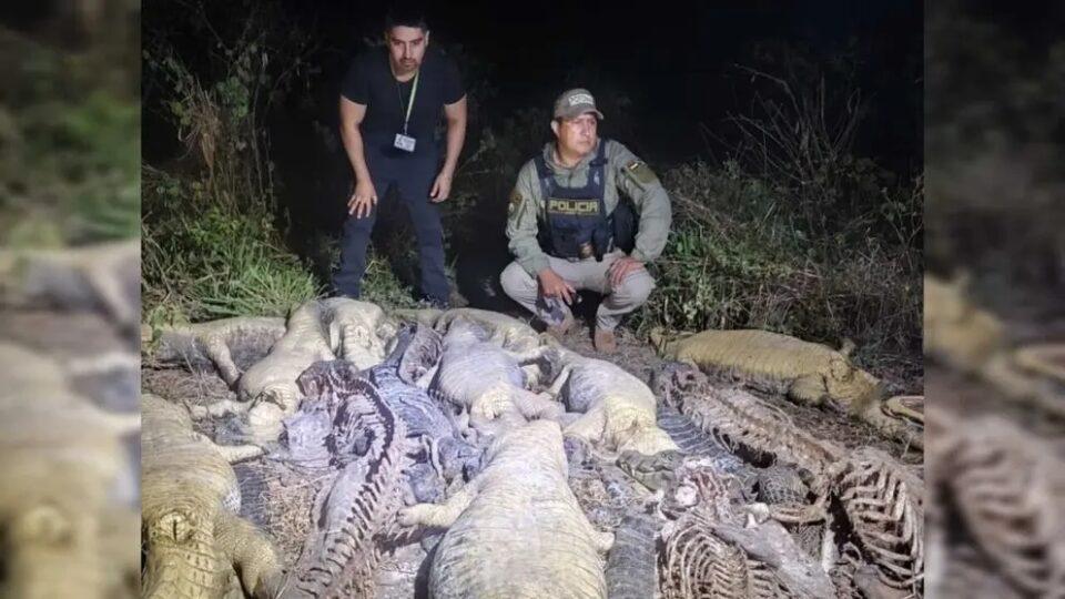 Biocidio de lagartos: hay al menos 9 implicados y Fiscalía ya identificó a algunos