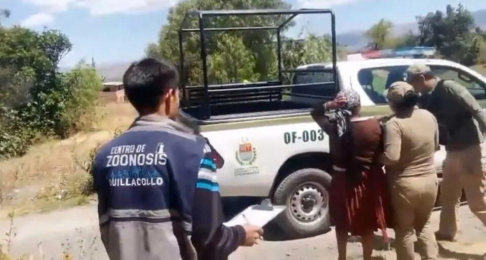 Vecino salva a perro que fue colgado por sus dueños; arrestan a dos e investigan intento de biocidio