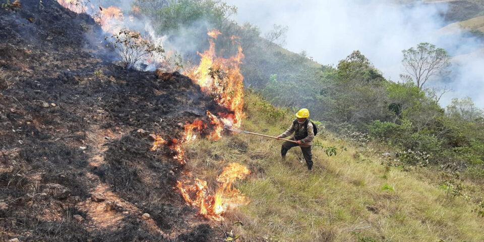 Luis Arce anuncia que Bolivia no tiene incendios activos y celebra cifras históricas