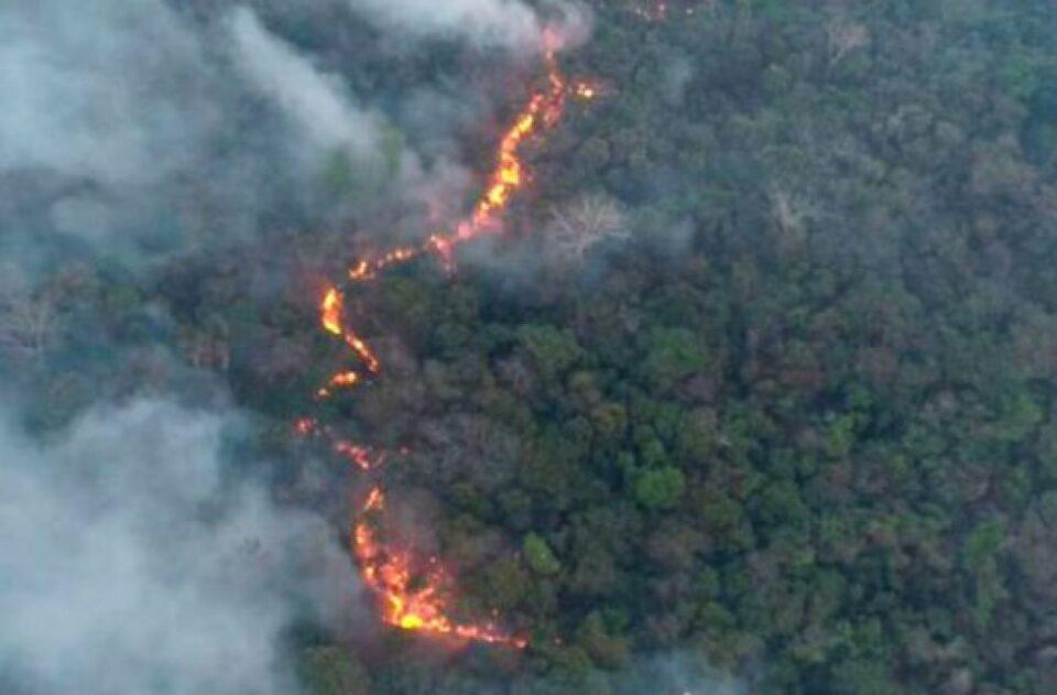 Incendios en la frontera de Bolivia y Paraguay arrasa con miles de hectáreas