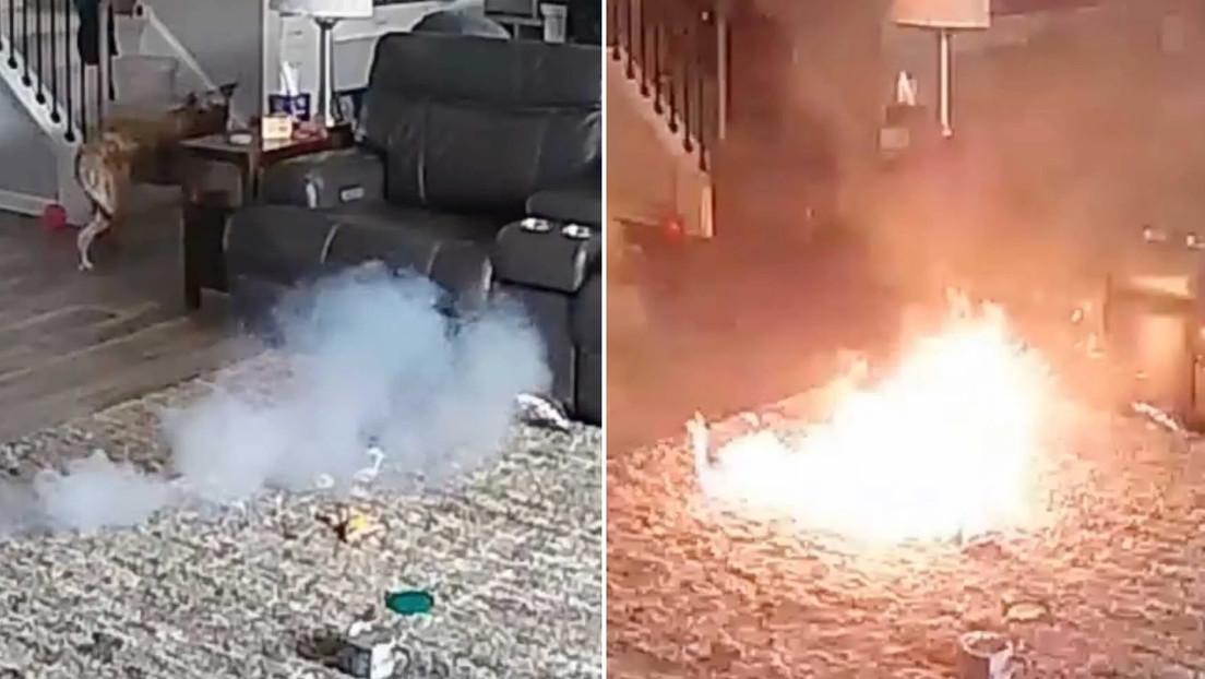 Perro provoca incendio tras morder una batería de litio en Carolina del Norte