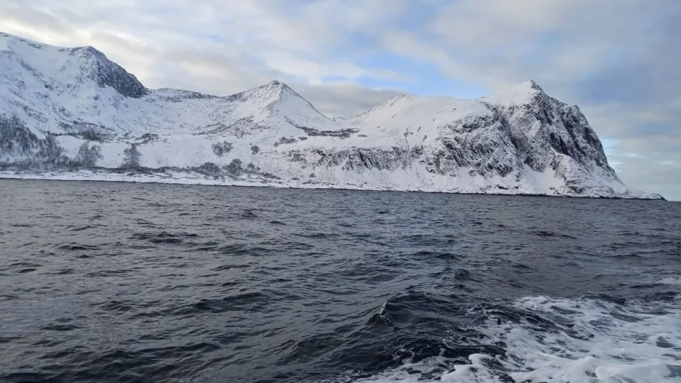 Científicos podrían haber encontrado vida en un rincón improbable del Ártico