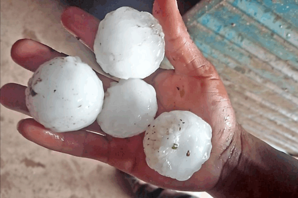 Chuquisaca: granizadas provocan la muerte de animales y estropea cultivos agrícolas