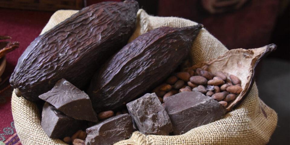 Exportaciones de cacao boliviano alcanzan récord de $us 14 millones en 2024; La Paz lidera las ventas