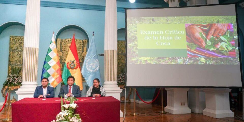 8. Hoja de coca: Bolivia protege su valor cultural y medicinal a nivel nacional e internacional