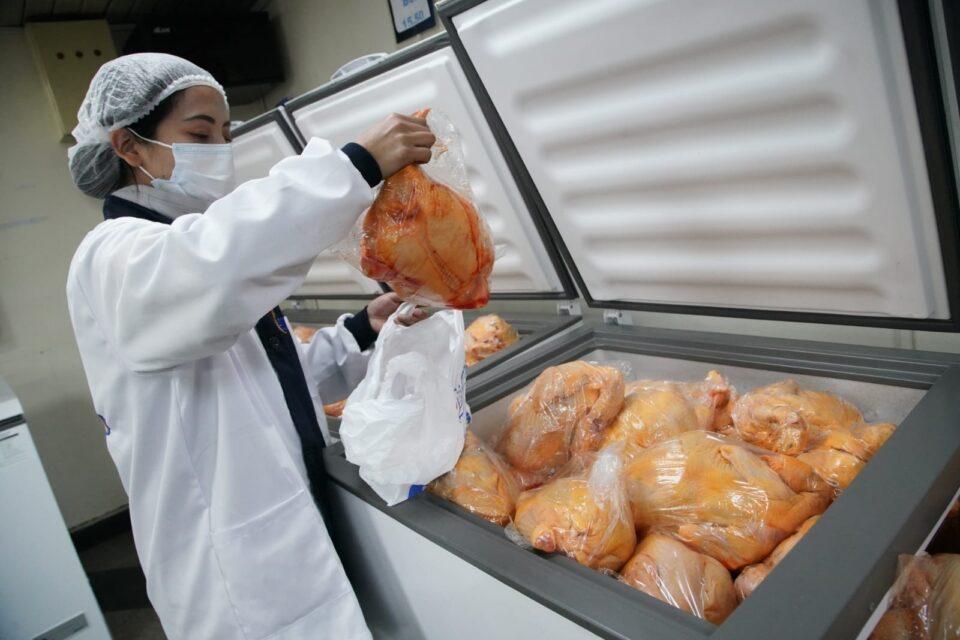 Bolivia proyecta ventas de cerdo y pollo en el mercado chino