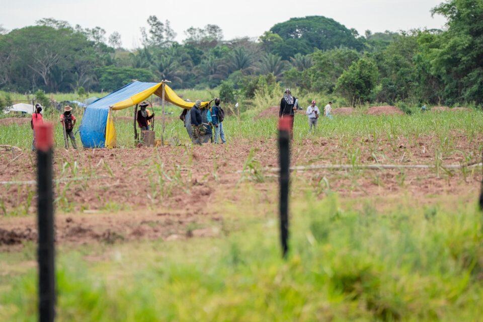 Siete personas fueron aprehendidas tras la intervención en el avasallamiento en Montero