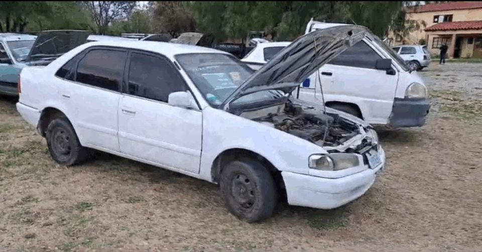 Dircabi Tarija anuncia subasta de bienes incautados