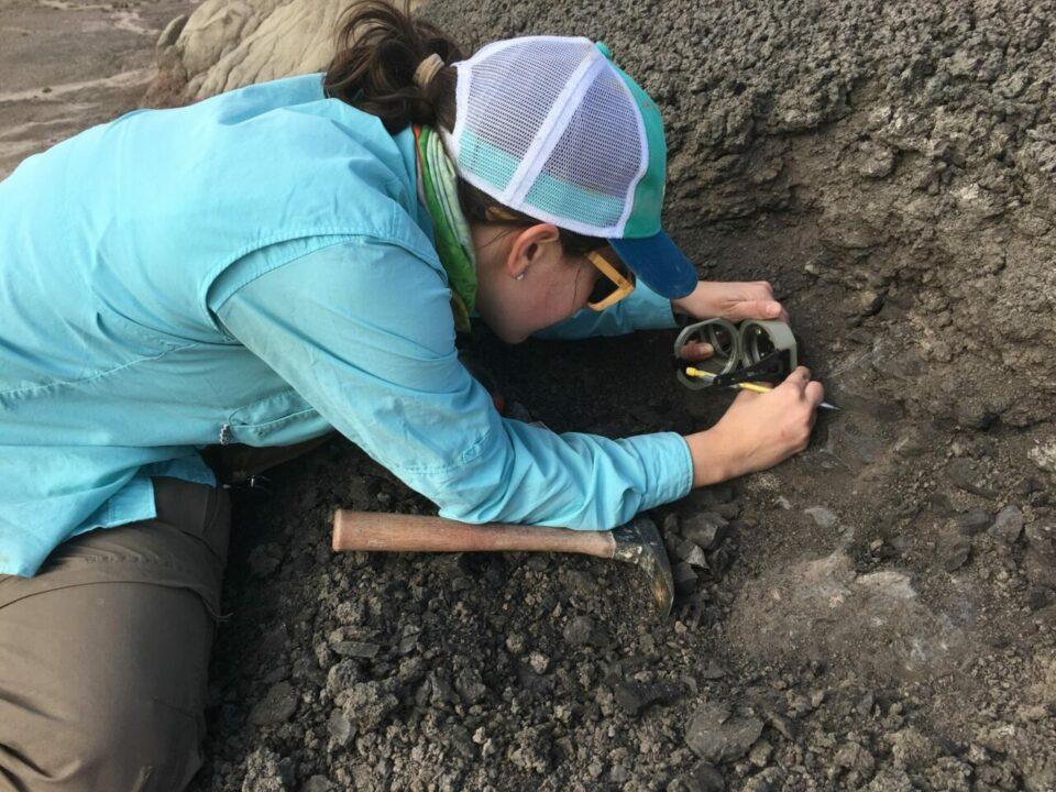 Descubre cómo eran los dinosaurios antes de extinguirse