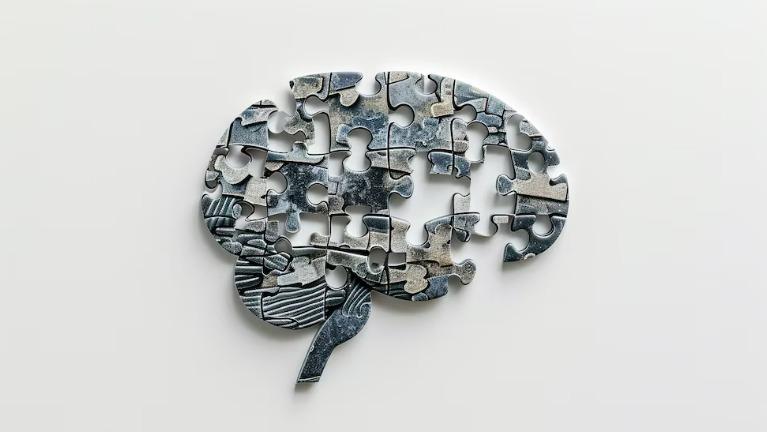 ¿El cerebro de los hombres envejece más rápido? Estudio sobre Alzheimer responde
