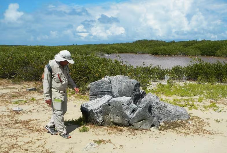 Científicos descubren tsunami ocurrido un siglo antes de Colón