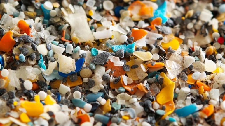 Descubre cuáles son los alimentos que más microplásticos contienen y cómo afectan tu salud al consumirlos