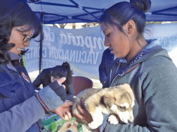 Potosí se prepara para la campaña de vacunación antirrábica
